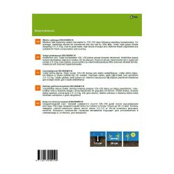 Sēklas baltie galviņkāposti brunswick