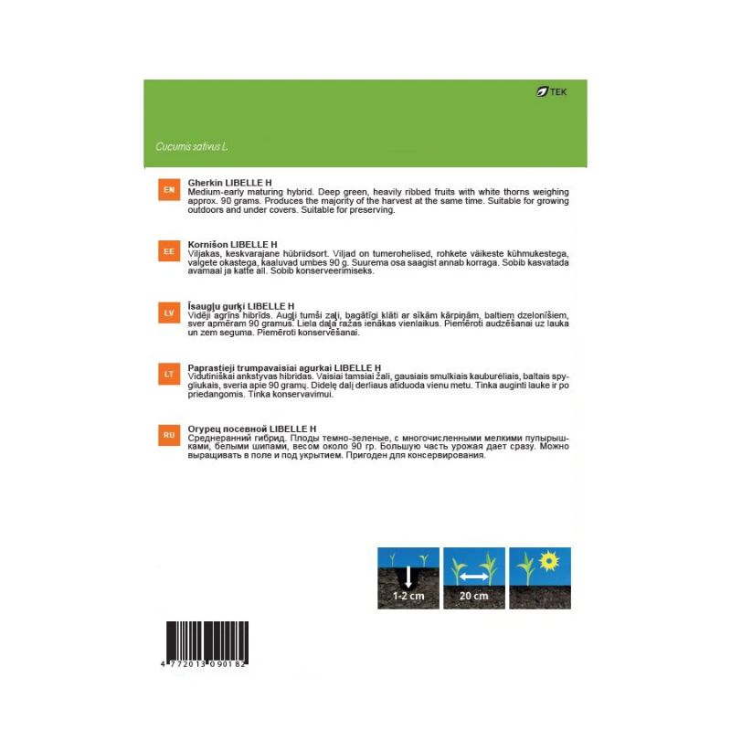 Sēklas gurķi libelle h