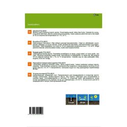 Sēklas gurķi polan h