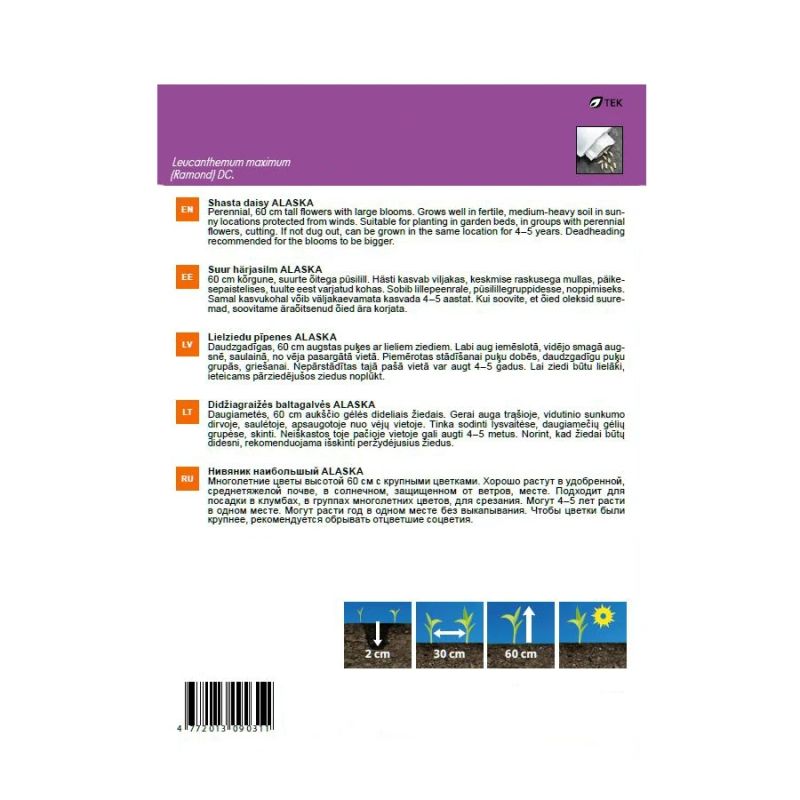 Sēklas krizantēmas alaska