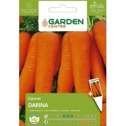 Sēklas burkāni darina