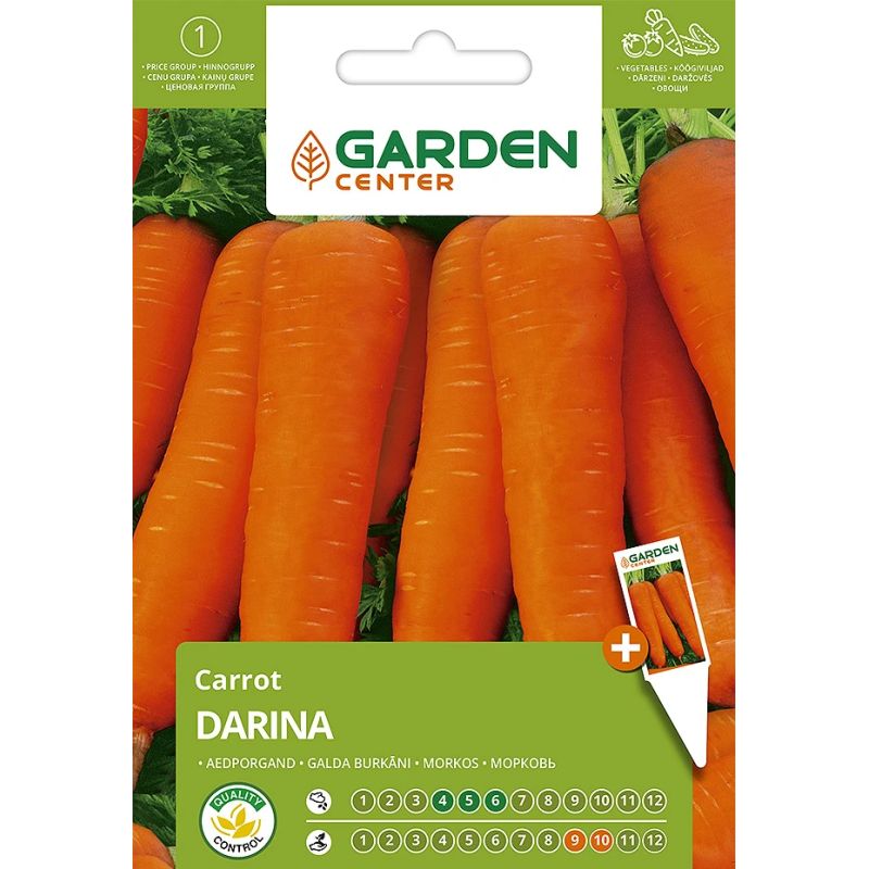 Sēklas burkāni darina