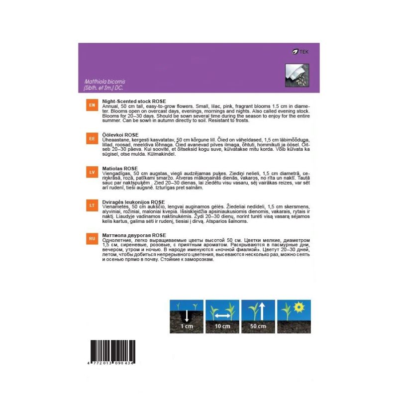 Sēklas lefkojas rose