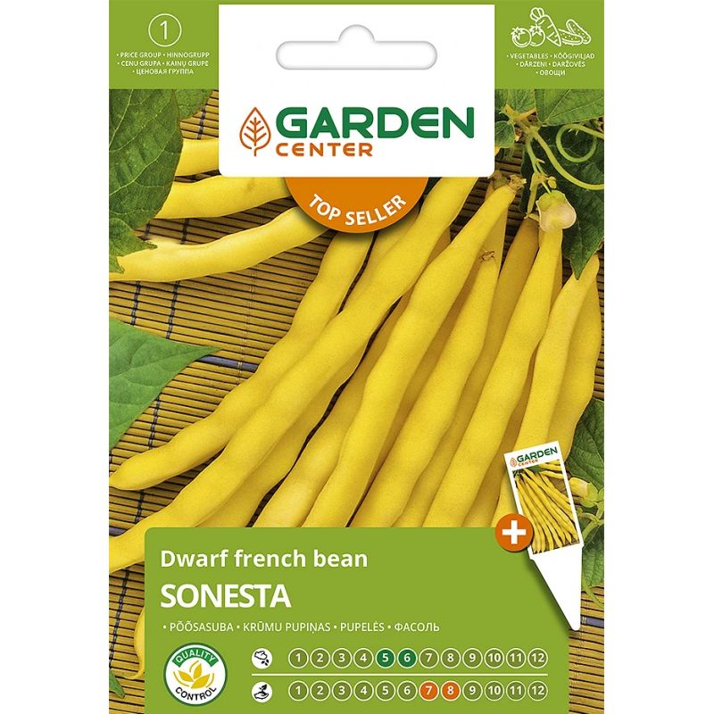 Sēklas dārza zemo pupiņu sonesta