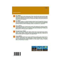 Sēklas dilles common 1