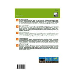 Sēklas meža zemenes rugen