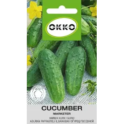 Sēklas gurķi marketer