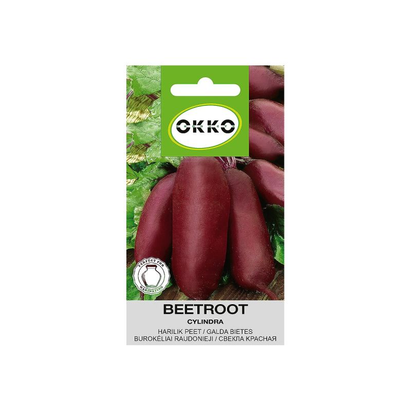 Sēklas bietes cylindra