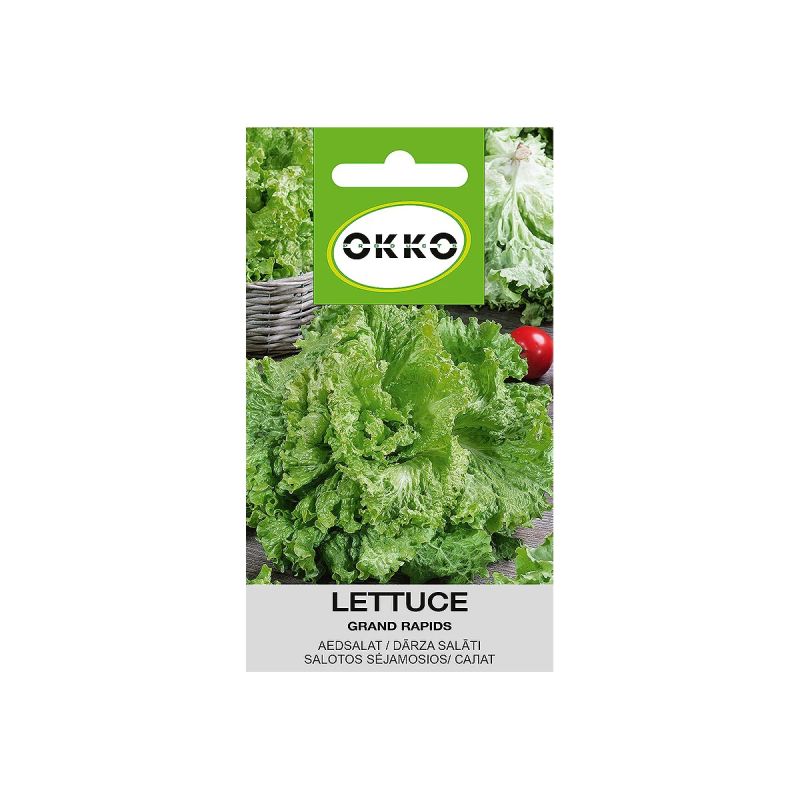 Sēklas dārza salāti grand rapids