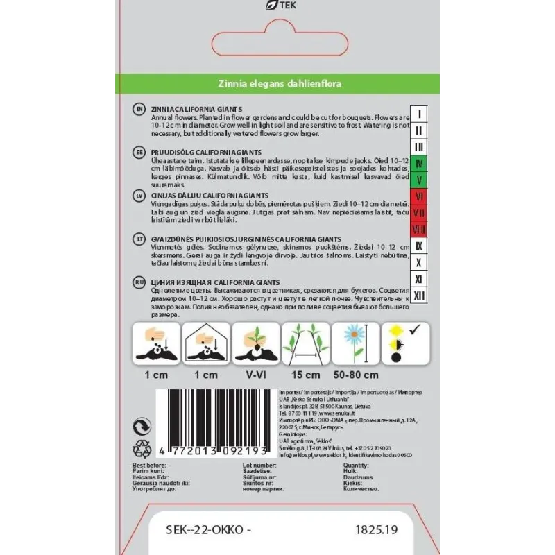Sėklos Okko gvaizdūnė California Giants, 0.5 g