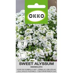 Sēklas jūrmalas lobulārijas snowcloth