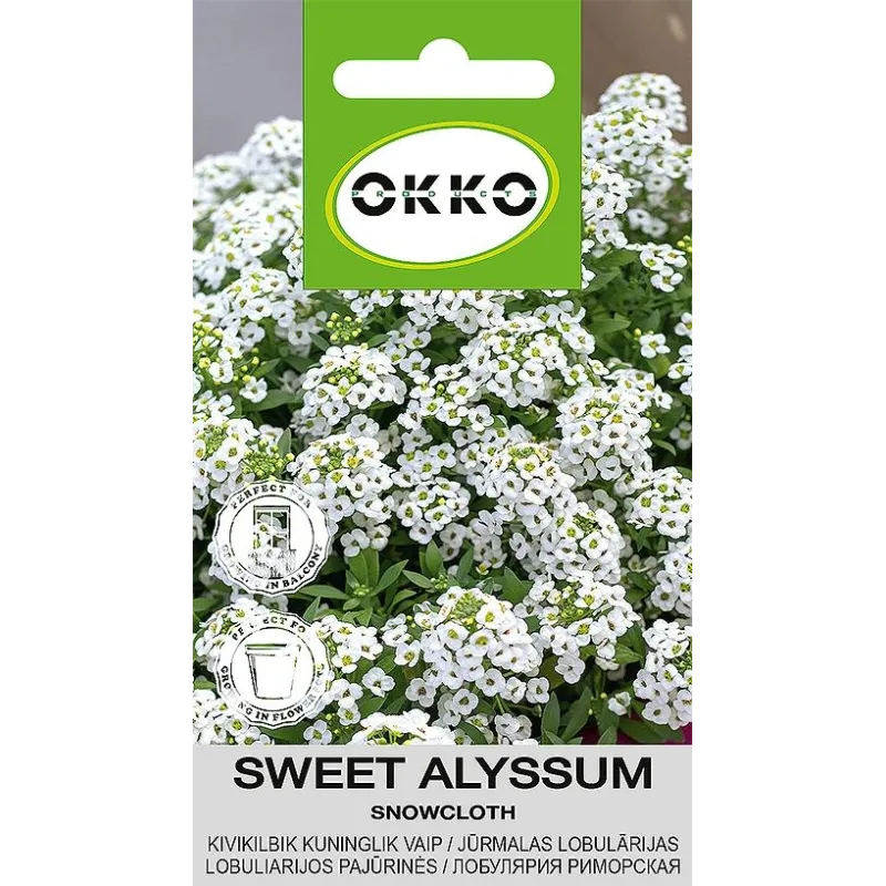 Sėklos Okko lobuliarija Snowcloth, 0.5 g