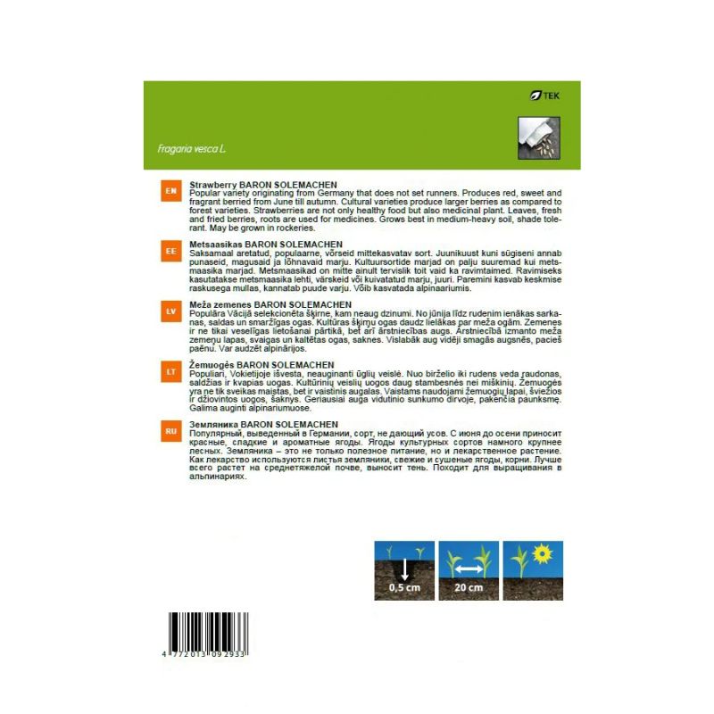 Sēklas meža zemenes baron solemachen