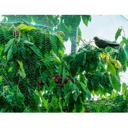 Siets pret putniem garden center 5x4m