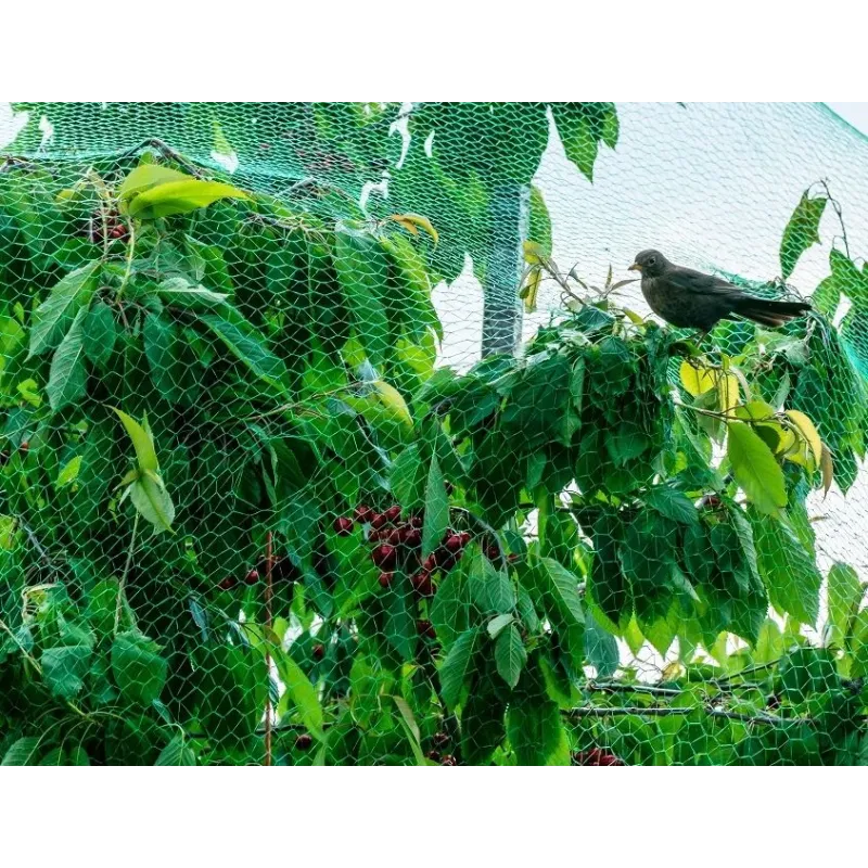 Tīkls pret putniem Garden Center BND10-1515, 10 m x 800 cm