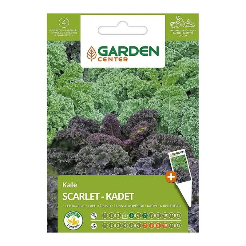Sēklas Garden Center, dārza kāposti Scarlet-Kadet, 2 g