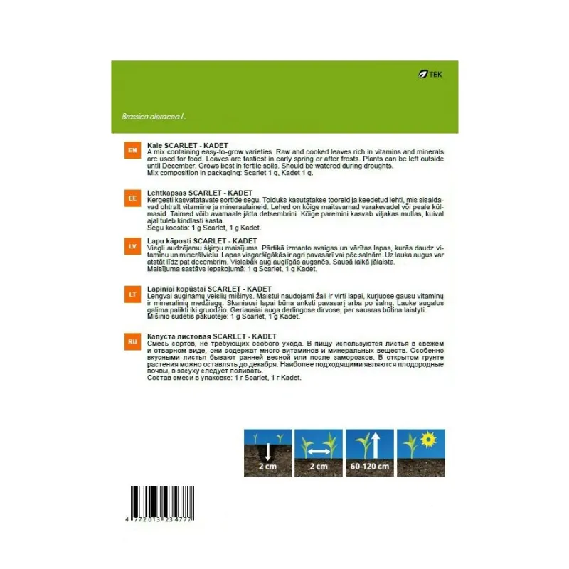 Sēklas Garden Center, dārza kāposti Scarlet-Kadet, 2 g