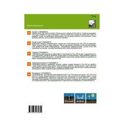 Dārz. sēklas tomāti corianne