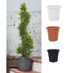 Lillepott Domoletti MA000050, plastik, pruun v.