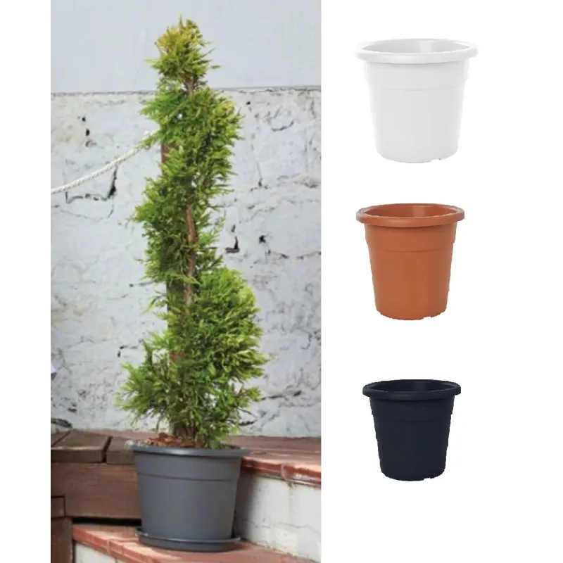 Puķu pods Domoletti MA000050, plastmasa, brūna krās.