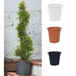 Puķu pods Domoletti MA000025, plastmasa, balta krās.