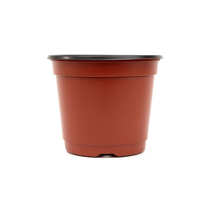 Vāze diedzēšanai bn180 18x13x15cm