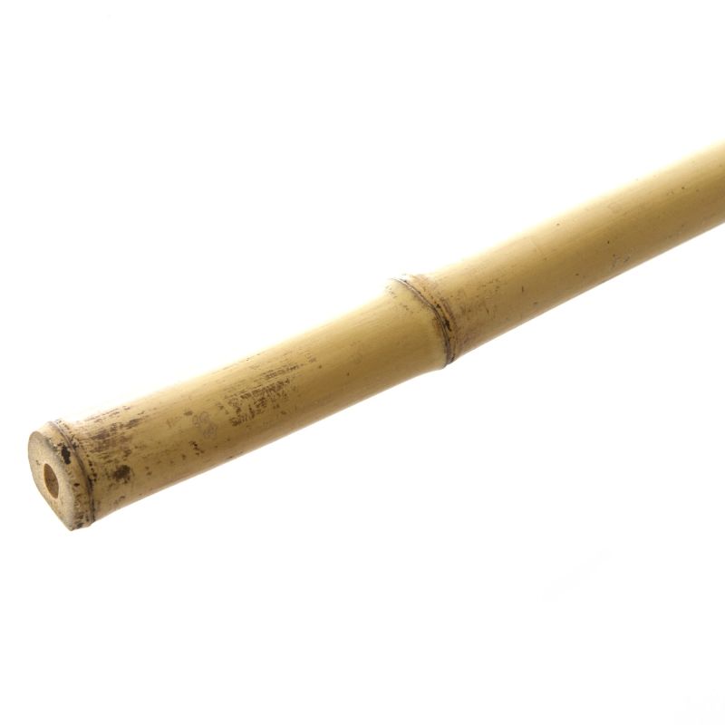 Atbalsts augu 300cm d6-8 bamb