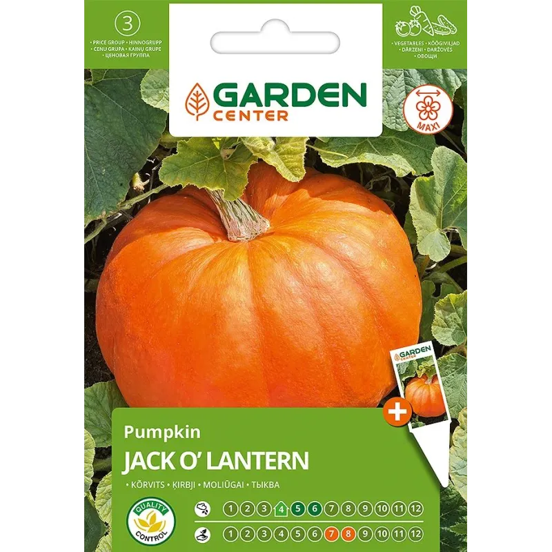 Sēklas Garden Center, ķirbis JACK O'LANTERN, 2 g