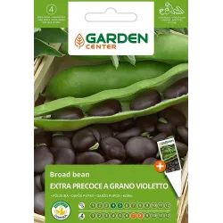 Sėklos Garden Center, pupos EXTRA PRECOCE A GRANO VIOL., 8 g