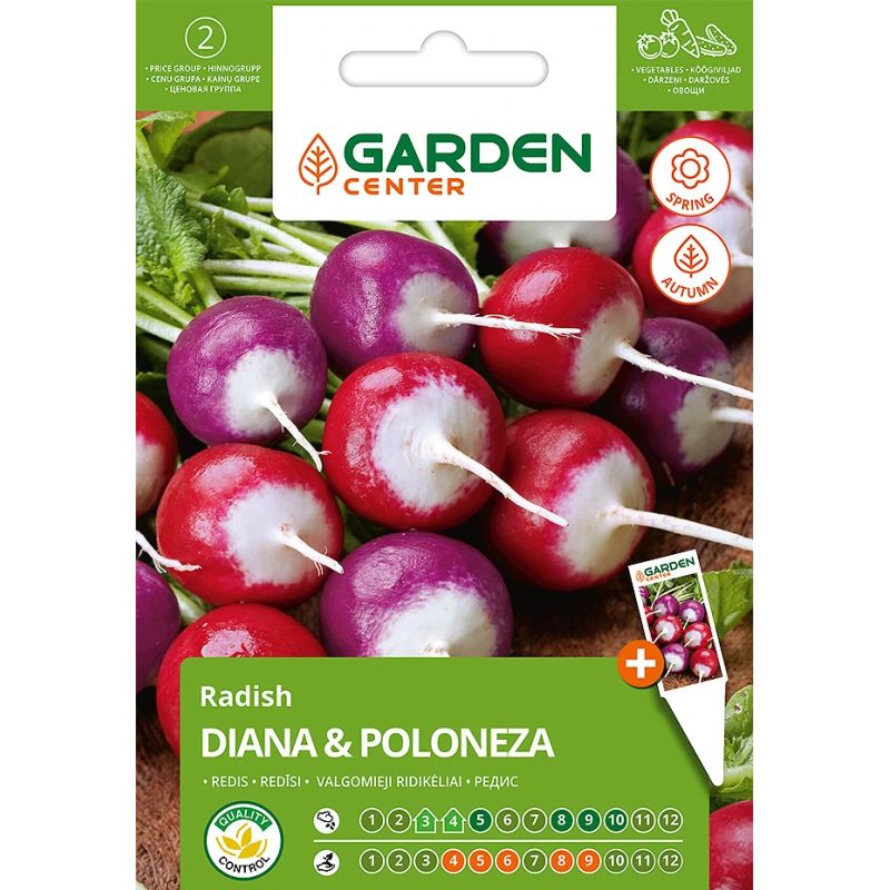 Sēklas redīsi diana and poloneza3