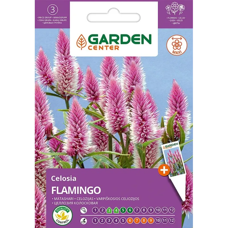 Sēklas Garden Center celozijas FLAMINGO, 0.3 g