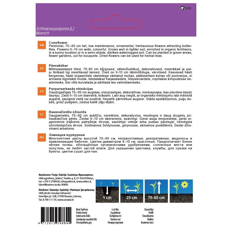 Sēklas ziedu ehinācijas purple 1g