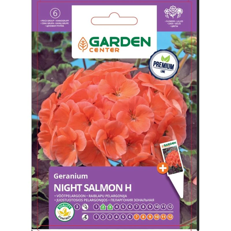 Sēklas pelargonijas night salmon h 7s