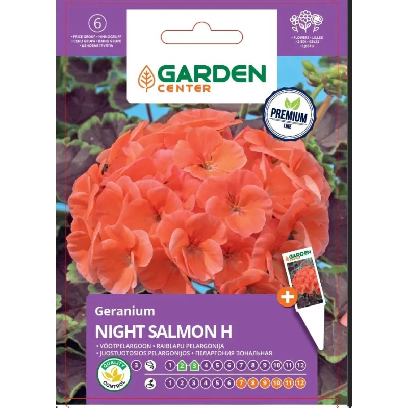 Sēklas Garden Center pelargonijas NIGHT SALMON, 7 g