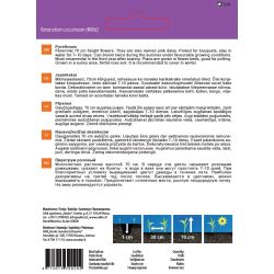 Sēklas ziedu pīpenes robinsons giant0.5g