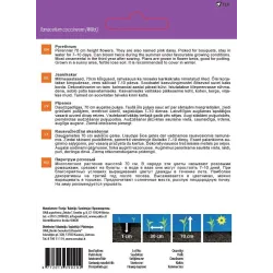 Sēklas ziedu pīpenes robinsons giant0.5g