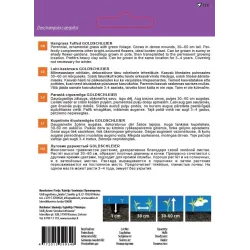 Sēklas Garden Center liektā ciņusmilga GOLDSCHLEIER, 1 g