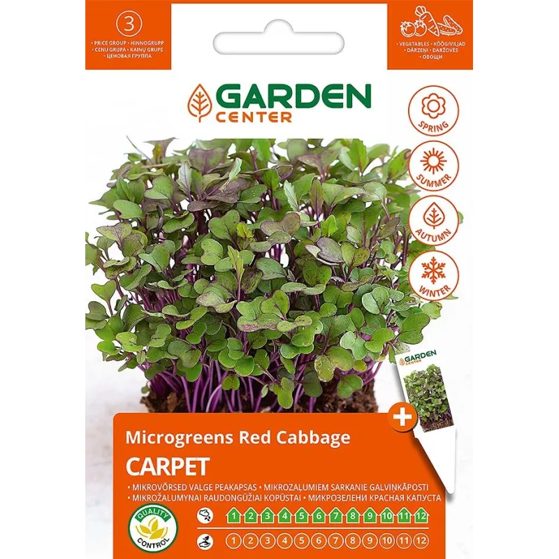 Sēklas Garden Center dīgšanas, dārza kāposti CARPET, 10 g