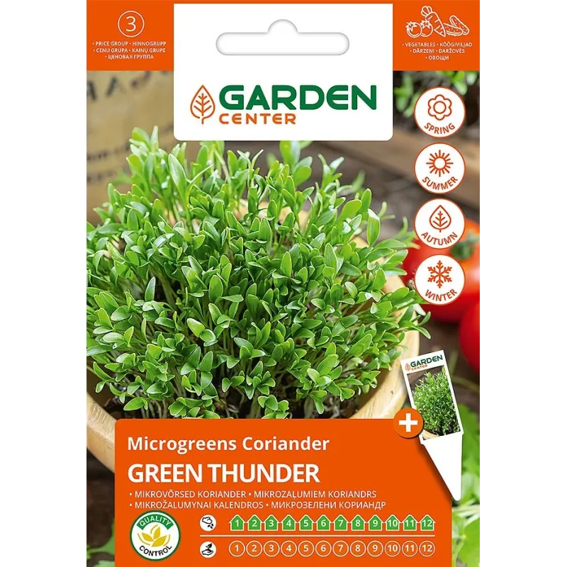 Sēklas Garden Center dīgšanas sānu koriandrs GREEN THUNDER, 10 g