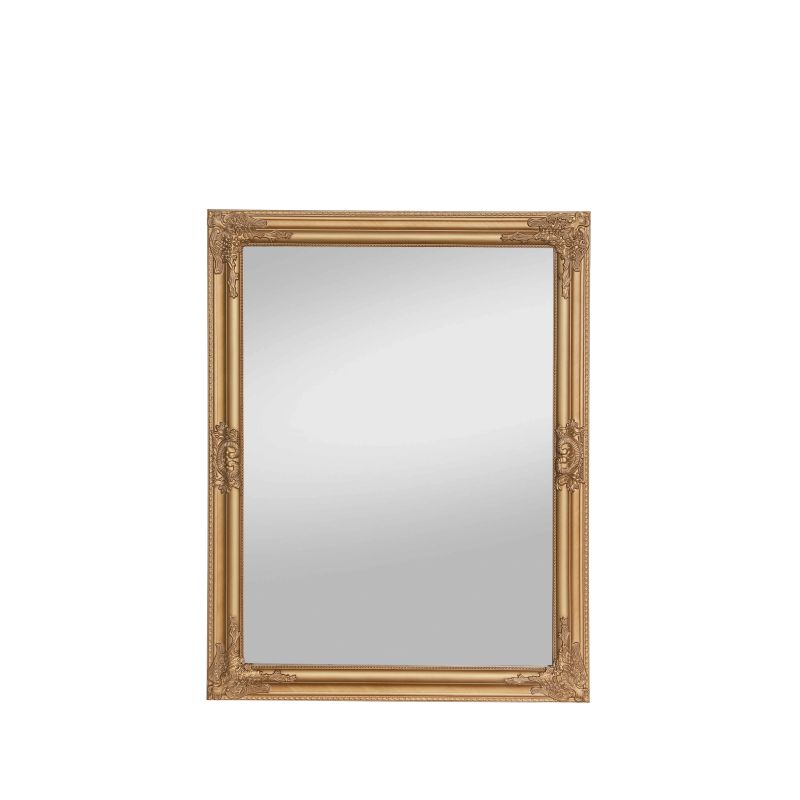 Spogulis anisa 90x70x3.5 cm zelts