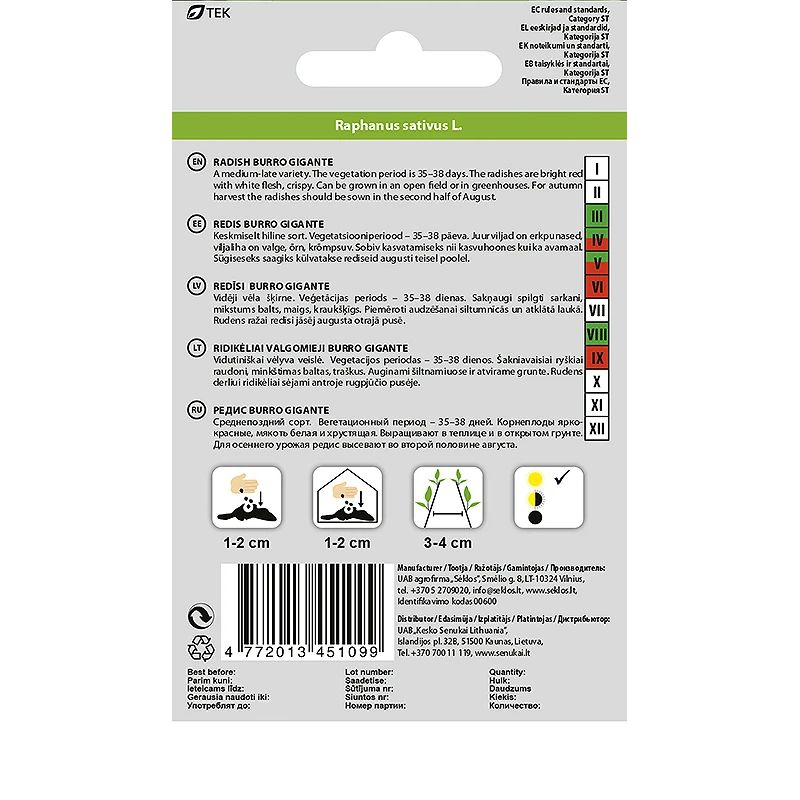 Sēklas dārzeņu redīsi burro gigante 2g