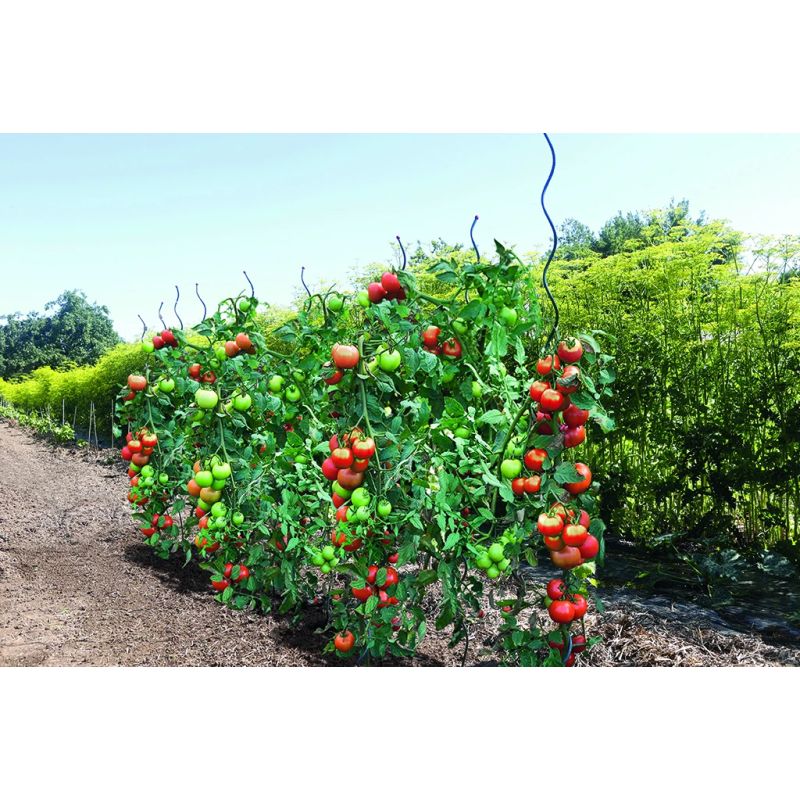 Auga atbalsts Garden Center 140183, 0.7 cm x 0.7 cm, 170 cm, plastmasa-metāls, zaļa krās.