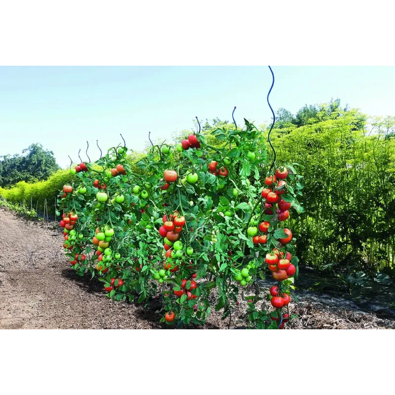 Auga atbalsts Garden Center 140183, 0.7 cm x 0.7 cm, 170 cm, plastmasa-metāls, zaļa krās.