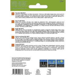 Seemned Garden Center, kõrvits BIG MAX, 2 g