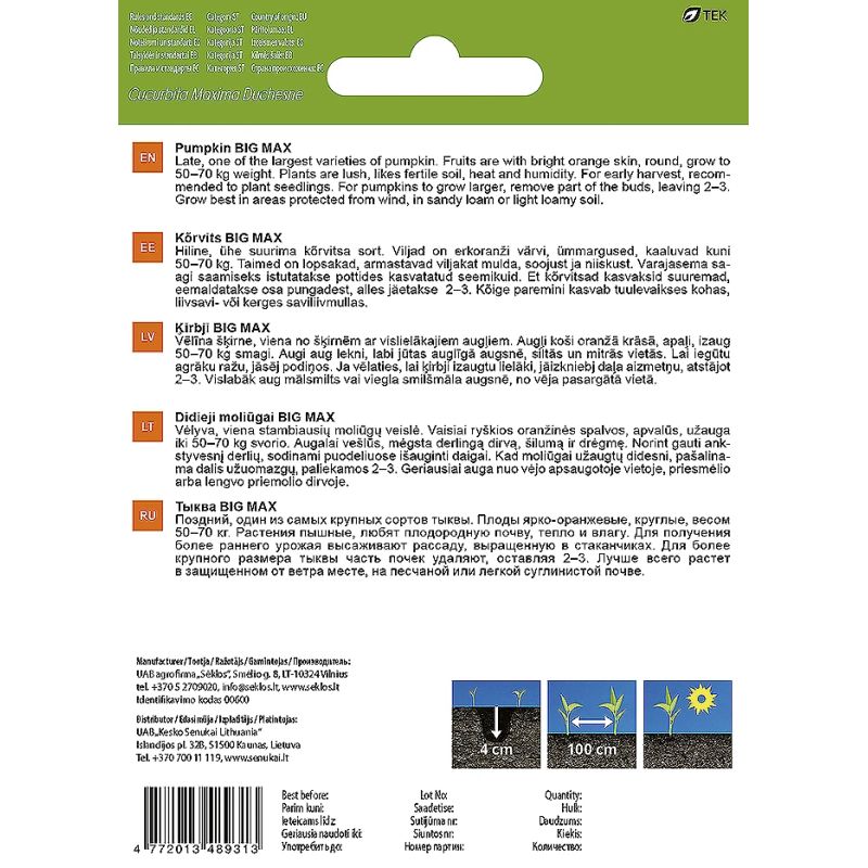 Sēklas dārzeņu ķirbja big max2g