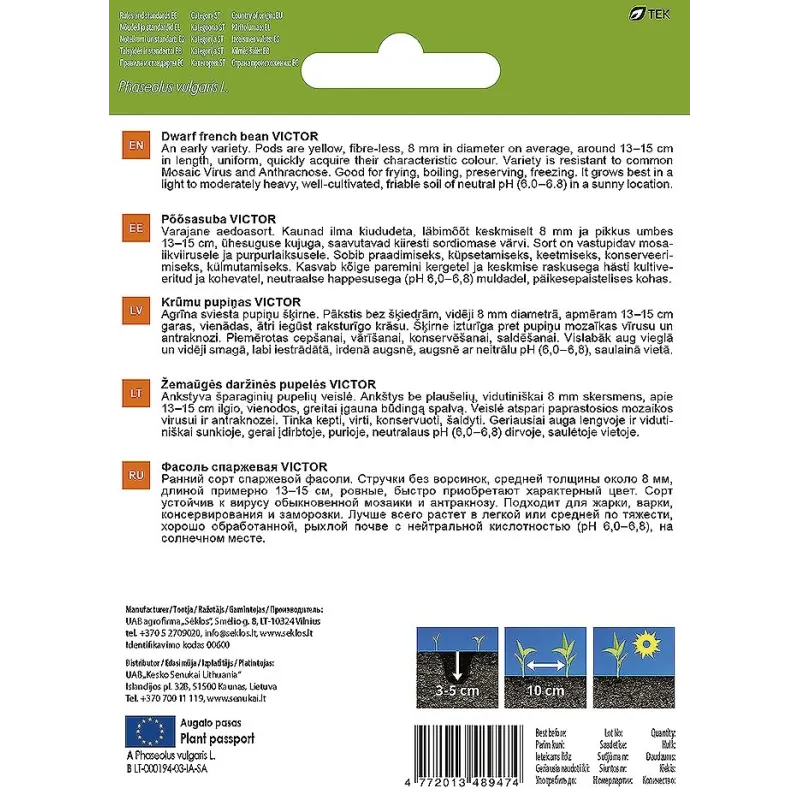 Sēklas Garden Center, pupiņas ,mazas, VICTOR, 20 g