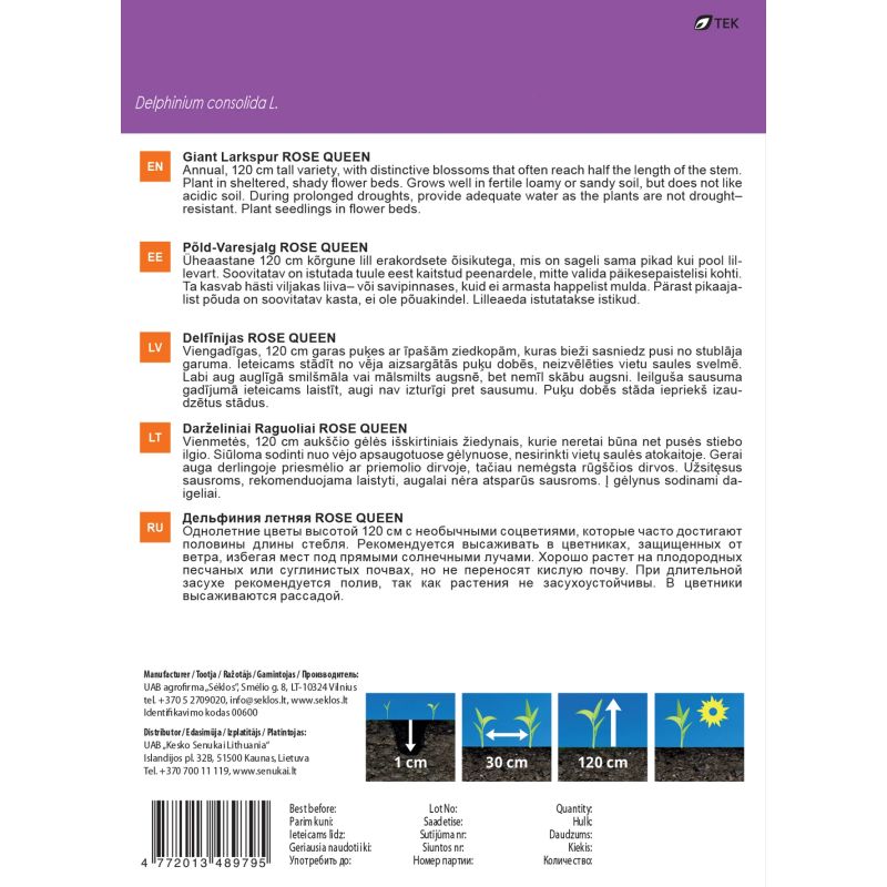 Sēklas zie milzu lācenīte rose queen 1g