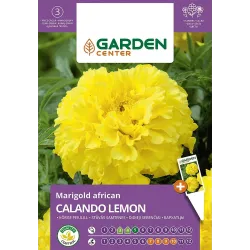Sēklas Garden Center samtenes CALANDO LEMON, 0.5 g