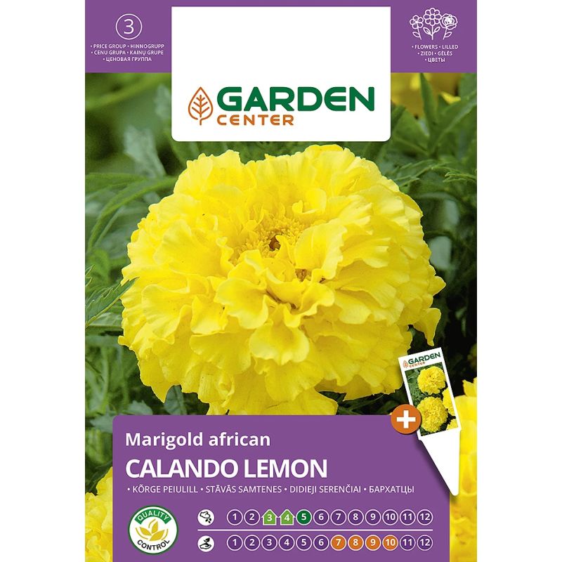 Sēklas afrik marigols calando lemon 0.5g