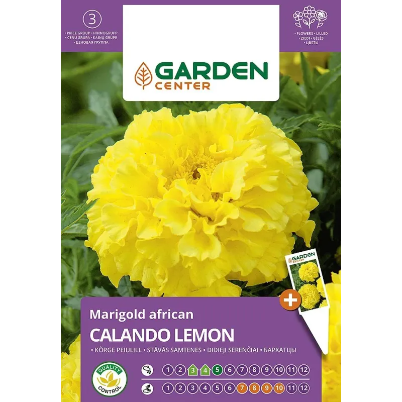 Sēklas Garden Center samtenes CALANDO LEMON, 0.5 g